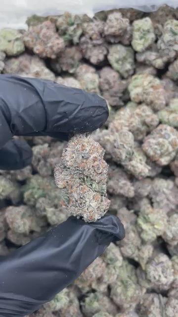 Blue Nerds THCA flower