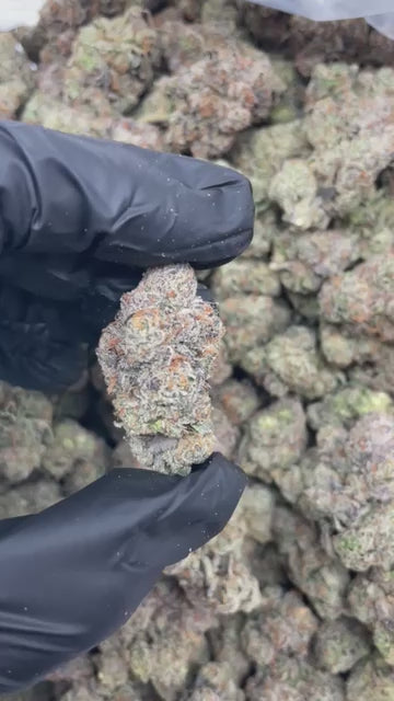 Lemon Cherry Gelatos THCA flower