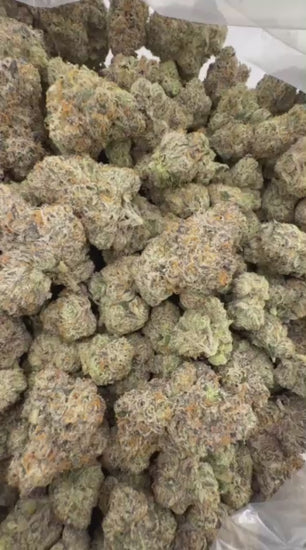 Sour Cherry Bombz THCA flower
