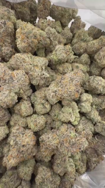 Sour Cherry Bombz THCA flower